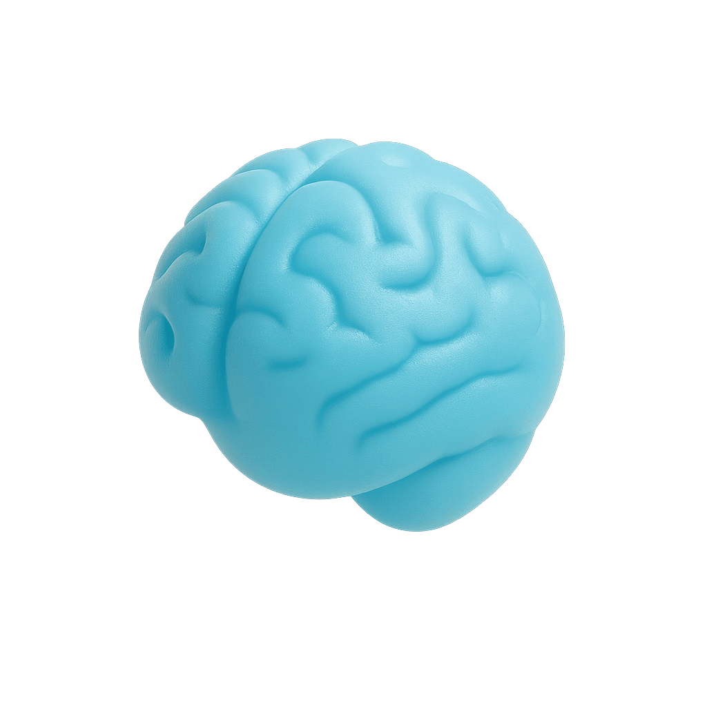 3D brain capsule