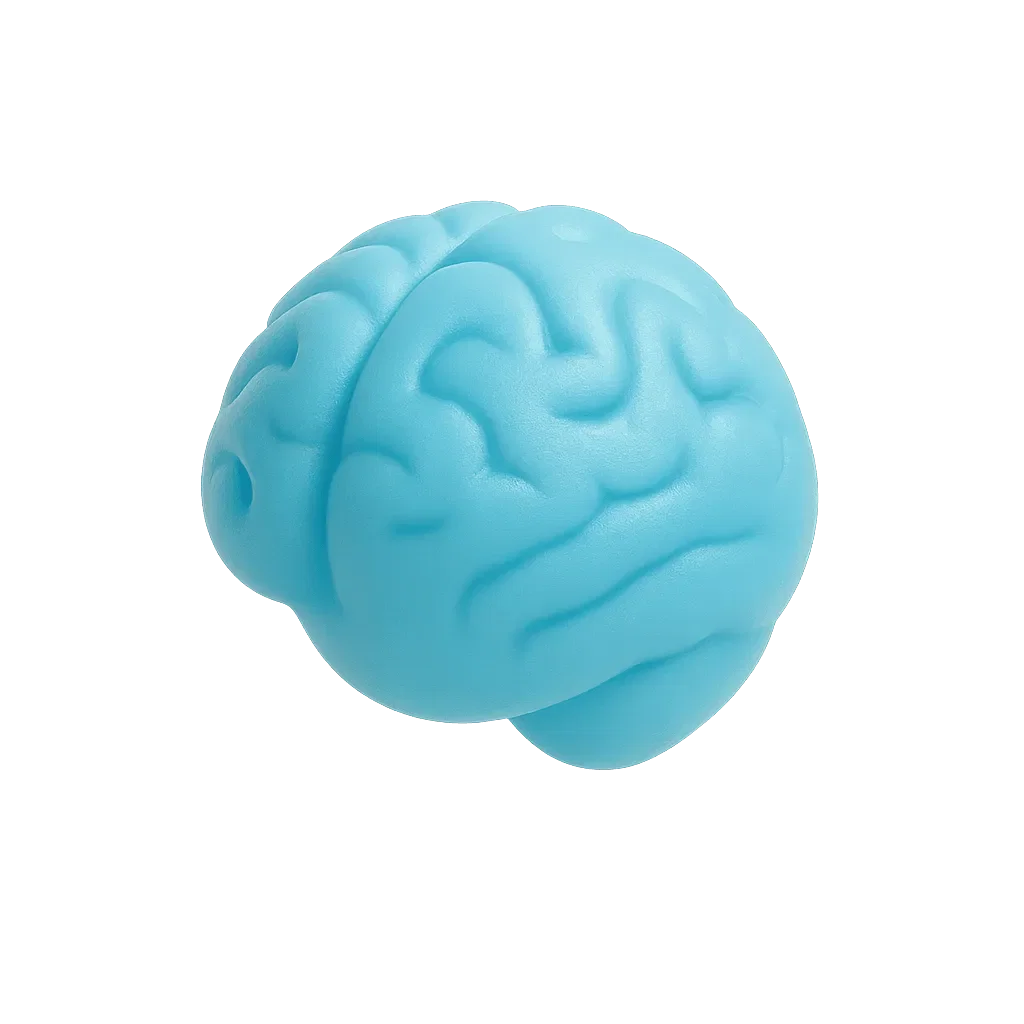3D brain capsule